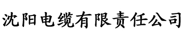 欧美理论片在线观看一区二区电缆厂logo